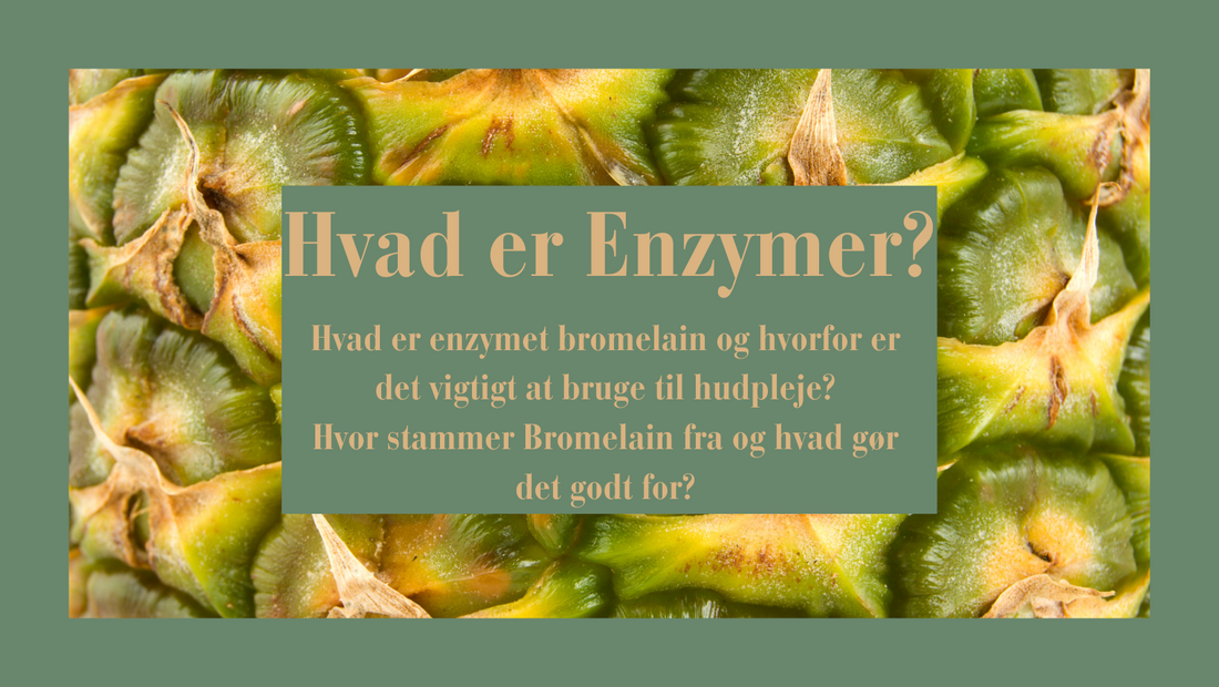 Hvad er enzymer?