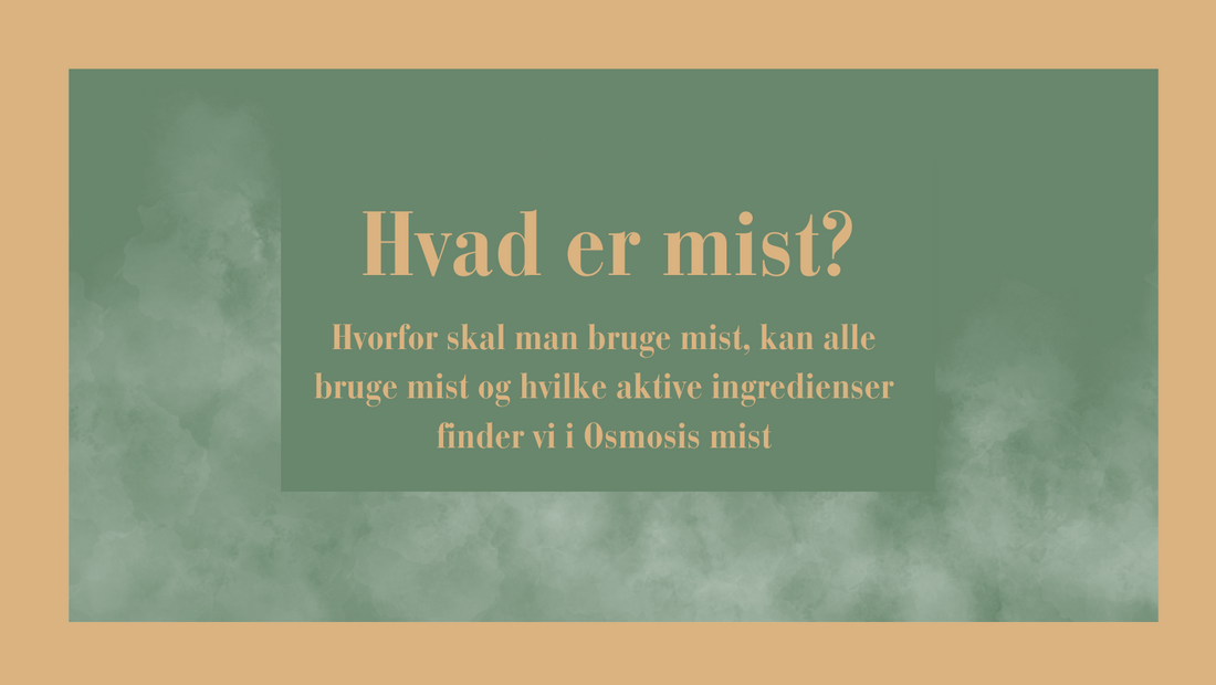 Hvad er mist